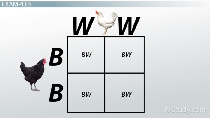 Dominance incomplete codominance vs genetics